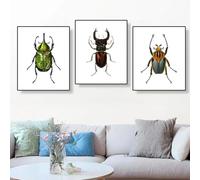 Póster con estampado de escarabajos Vintage,impresiones de insectos,escarabajo,cuadro sobre lienzo para pared,decoración de granja,arte de historia Natural,decoración del hogar 30x40cmx3 sin marco