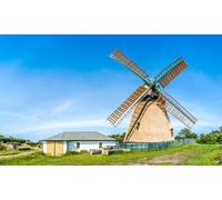 Póster de 150 x 90 cm: hermoso molino de viento idílico y tradicional con techo de paja en un típico pueblo alemán del mar del Norte en un día soleado (44285933)