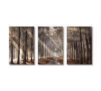 Póster de 3 piezas de árbol bajo el sol, bosque brumoso, arte de pared, lienzo, pintura, paisaje moderno, impresión de imágenes para decoración de sala de estar, sin marco (50x70cm/20x28in) x3