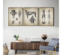 Póster De Anatomía De Perro, Impresiones Vintage, Regalos Para Estudiantes De Veterinaria, Medicina Veterinaria Animal, 3 Piezas, Imágenes Artísticas De Pared, Pintura En Lienzo, Decoración De Oficina