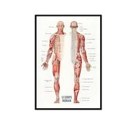 Póster de anatomía francesa de músculos humanos, arte en lienzo de Le Corps Humain para educación médica, fitness u oficina (SKU2,30.5 x 45.7 cm= (30 x 45 cm), marco de fotos negro)