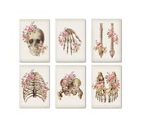 Póster de anatomía huesos esqueléticos florales, columna vertebral cráneo, arte pared médico, lienzo impreso, pintura, cuadro abstracto, clínica, decoración del hogar(6 pcs Set,15x20cm No Frame)