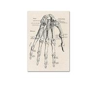 Póster de anatomía humana vintage imagen la pared médica del músculo esqueleto lienzo lona for decoración clínica hospital(202011NQ296F,30x40cm No Frame)