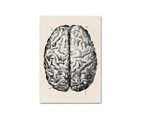 Póster de anatomía humana vintage imagen la pared médica del músculo esqueleto lienzo lona for decoración clínica hospital(202011NQ296D,60x80cm No Frame)