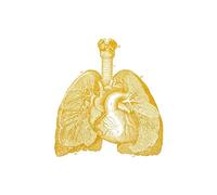 Póster de anatomía oro vintage esqueleto abstracto corazón médico órgano cerebro lienzo pintura arte pared decoración del hogar(W0128A05,13X18CM No Frame)