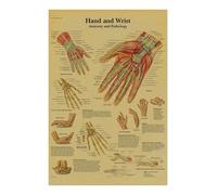 Póster de anatomía y fisiología, impresiones papel Kraft, estructura del cuerpo, esqueleto, Vintage, habitación hogar, decoración atística pared médica, pintura(7,A4 8.3x11.8inch)