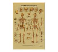 Póster de anatomía y fisiología, impresiones papel Kraft, estructura del cuerpo, esqueleto, Vintage, habitación hogar, decoración atística pared médica, pintura(3,A4 8.3x11.8inch)