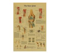 Póster de anatomía y fisiología, impresiones papel Kraft, estructura del cuerpo, esqueleto, Vintage, habitación hogar, decoración atística pared médica, pintura(8,A4 8.3x11.8inch)
