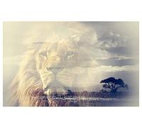 Póster de animales con reflejo del Rey León, 60 x 40 cm, fabricado en Francia, 60 x 40 cm