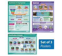 Póster de Animals & Hábitats - Juego de 3 pósteres científicos | Papel laminado brillante midiendo 850 mm x 594 mm (A1) | Gráficas científicas para el aula | Tablas educativas de Daydream Education