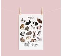 Póster de conejos de conejos, regalo de conejos, ilustración de conejos, regalos para mascotas, razas de conejos, regalo para amantes de los conejos, regalo divertido de conejos, letreros de metal de
