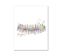 Póster de equipo Dental, lienzo anatomía dientes, pintura regalo dentista, arte pared médica, impresión acuarela, decoración clínica(3183-05,A4 21x30cm No Frame)
