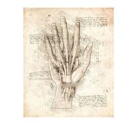 Póster de estructura corporal anatomía y fisiología, decoración médica Retro for habitación, pared artística, Bar, café, la del hogar, pintura en lienzo(14,30x42cmA3 No Frame)