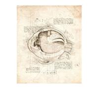 Póster de estructura corporal anatomía y fisiología, decoración médica Retro for habitación, pared artística, Bar, café, la del hogar, pintura en lienzo(3,21x30cmA4 No Frame)