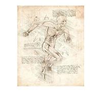 Póster de estructura corporal anatomía y fisiología, decoración médica Retro for habitación, pared artística, Bar, café, la del hogar, pintura en lienzo(12,30x42cmA3 No Frame)