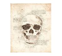 Póster de estructura corporal anatomía y fisiología, decoración médica Retro for habitación, pared artística, Bar, café, la del hogar, pintura en lienzo(11,30x40cm No Frame)