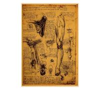 Póster de estructura corporal anatomía y fisiología, pegatina papel Kraft Retro esqueleto, decoración médica for habitación Vintage, pared artística(9)