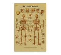 Póster de estructura corporal anatomía y fisiología, pegatina papel Kraft Retro esqueleto, decoración médica for habitación Vintage, pintura artística for pared(3)