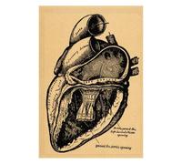 Póster de estructura corporal anatomía y fisiología, pegatina papel Kraft Retro esqueleto, decoración médica for habitación Vintage, pared artística(6)