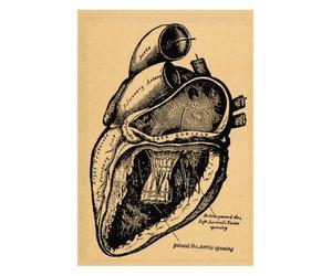 Póster de estructura corporal anatomía y fisiología, pegatina papel Kraft Retro esqueleto, decoración médica for habitación Vintage, pared artística(6)