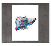 Póster de estructura corporal anatomía y fisiología, pegatina Retro, decoración médica for habitación Vintage, carteles pintura artística, en lienzo(2,21cmX30cmA4 No Frame)