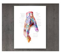Póster de estructura corporal anatomía y fisiología, pegatina Retro, decoración médica for habitación Vintage, carteles pintura artística, en lienzo(9,30cmX42cmA3 No Frame)