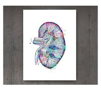 Póster de estructura corporal anatomía y fisiología, pegatina Retro, decoración médica for habitación Vintage, carteles pintura artística, en lienzo(6,30cmX42cmA3 No Frame)