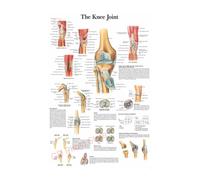 Póster de estructura corporal HD, papel fotográfico anatomía y fisiología, póster esqueleto, decoración habitación médica for el hogar, pintura artística for pared(7,A5 5.8x8.3inch)