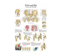 Póster de estructura corporal HD, papel fotográfico anatomía y fisiología, póster esqueleto, decoración habitación médica for el hogar, pintura artística for pared(14,A3 16.5x11.8inch)