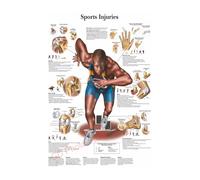 Póster de estructura corporal HD, papel fotográfico anatomía y fisiología, póster esqueleto, decoración habitación médica for el hogar, pintura artística for pared(21,A3 16.5x11.8inch)