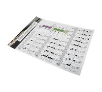 Póster de Flauta, Tabla de Notas Útil para Principiantes