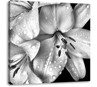 Póster De Flor Oscura En Blanco Y Negro, Lienzo Para Pared, Decoración Moderna Para Habitación Familiar, 50 X 50 Cm, Sin Marco