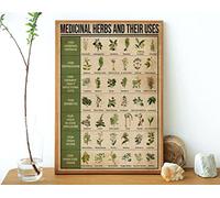 Póster de hierbas medicinales y sus usos de plantas medicinales conocimiento hierbas medicinales conocimiento hierba decoración póster arte pared letrero decoración cartel de metal 8 x 12 pulgadas