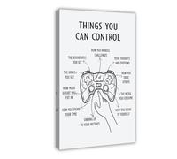 Póster de lienzo con texto en inglés «Things You Can Control», para la salud mental, la oficina de terapia, arte de la biología, para decoración de sala de estar, dormitorio, 40 x 60 cm