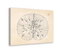 Póster de lienzo vintage de Santiago Ramón Y Cajal con dibujo de celda y arte de pared, marco moderno para decoración de dormitorio familiar, 60 x 90 cm