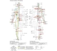 Póster de Meridianos del cuerpo humano impresión decoración del hogar arte decoración de pared cartel de metal póster 8 x 12 pulgadas