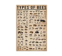 Póster de metal con texto en inglés "Bee Types Types of Bee Knowledge Bee L Honey Bee L Honey Bee L" (20 x 30 cm)