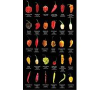 Póster de metal con texto en inglés "The Big List of Hot Peppers" (La gran lista de pimientos picantes)