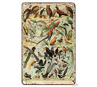 Póster de metal para decoración de pared, diseño de pájaros, vintage, ornitología francesa antigua, letrero de metal para decoración del hogar, letrero de aluminio rústico, póster de metal para garaje