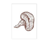 Póster de pared anatomía humana, lienzo órgano médico, pintura artística, impresión corazón, pulmón, cerebro, columna vertebral, imágenes, decoración Hospital(J,A3 30x42cm No Frame)