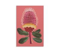 Póster de pared botánico de flores rojas de Banksia australiana para amantes de la naturaleza, póster para sala de estar, dormitorio, baño, oficina, decoración del hogar, 30 x 45 cm