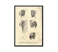 Póster de pared con diseño de anatomía retro con diseño de corazón, pelvis, pierna, músculo, cráneo, pelvis, hospital, clínica, médico, consultorio (marco de metal, 20 x 30 cm)