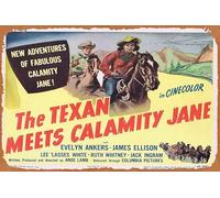 Póster de película vintage con texto en inglés "The Texan MEETS CALAMITY Jane" - Tarjeta de vestíbulo de Evelyn Ankers James Ellison Grace Retro of Classic Old Film Poster Metal Sign TV Bar Wall Club