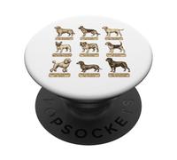 Póster de Perro de Estilo Vintage con Nombres Latinos de Razas de Perros PopSockets PopGrip Adhesivo