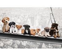 Póster de Perros sobre Soporte de Acero - New York Skydogs - Ciudades Divertidas Pueblos Pueblos Póster Impresión - Tamaño 91,5 x 61 cm