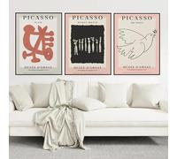 Póster de Picasso con diseño de paz, libertad, animales, Pablo, estilo nórdico, para sala de estar, dormitorio, oficina, decoración del hogar (50 x 70 cm, 3 unidades)