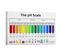 Póster de química a escala de pH para aula, póster educativo de 40 x 60 cm