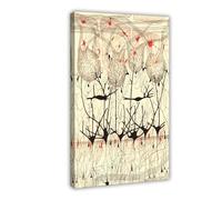 Póster de sistema nervioso de Camillo Golgi y Santiago Ramon Y Cajal para dormitorio, lienzo decorativo impreso, arte de pared, oficina, habitación, decoración estética, marco de regalo, 20 x 30
