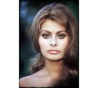 Póster de Star Célebre Sophia Loren Cinema Retro Vintage Actrice 2