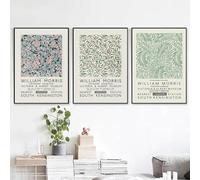 Póster de William Morris con estampado floral, arte de pared, pintura en lienzo, impresiones abstractas, cuadro de pared, decoración única para sala de estar, 70 x 100 cm, 3 piezas sin marco